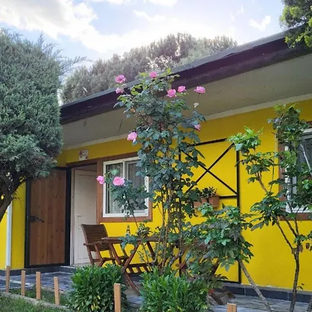 Cicek Evler Tatil Koeyue Feriested *