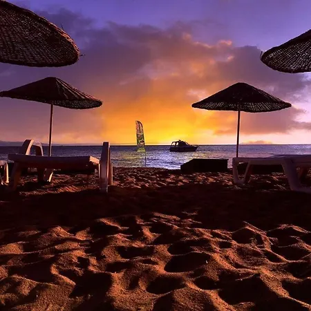 Cicek Evler Tatil Koeyue Armutlu